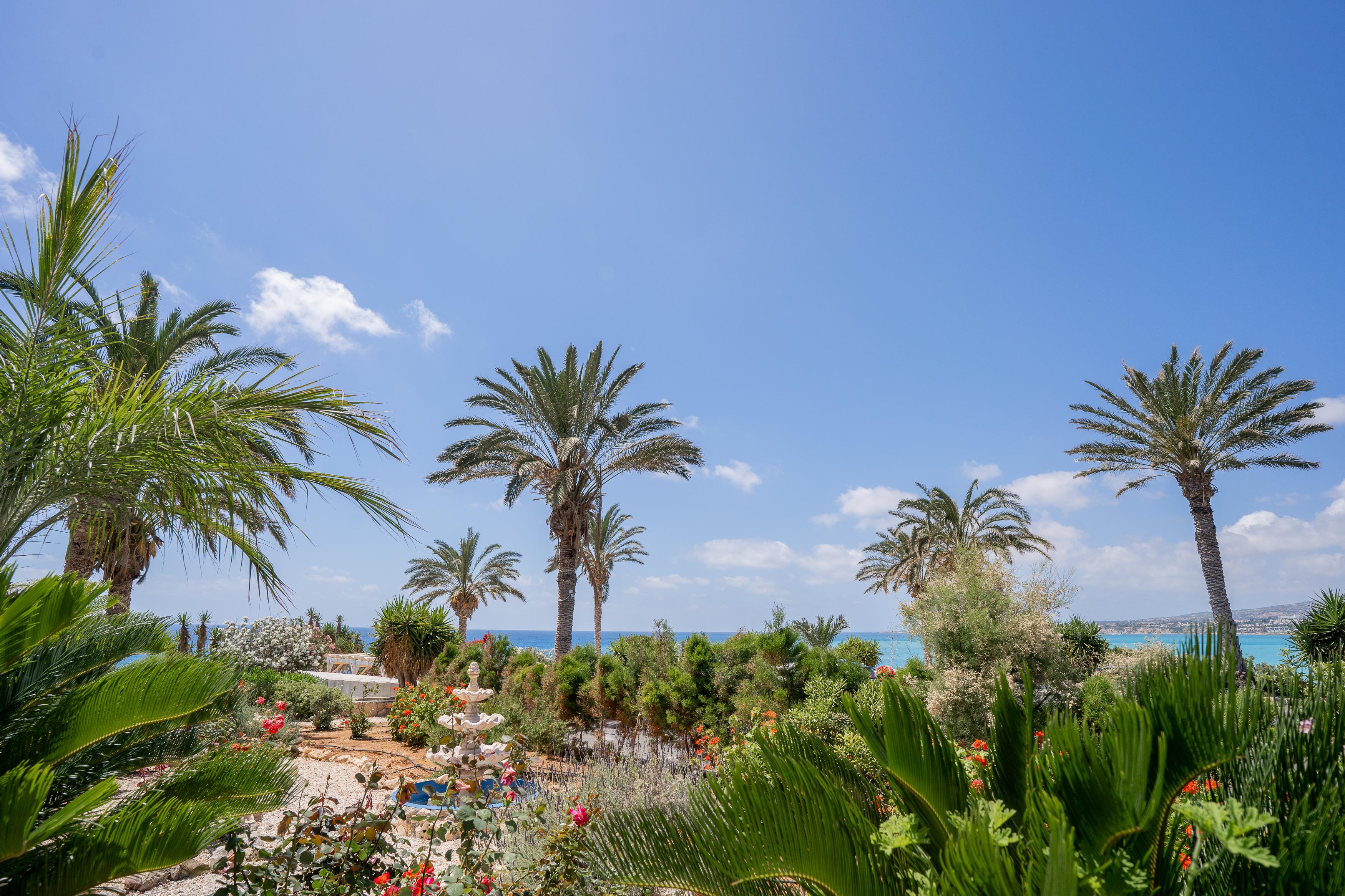 Vrachia Beach Hotel & Suites - Adults Only Kissonerga Exteriör bild